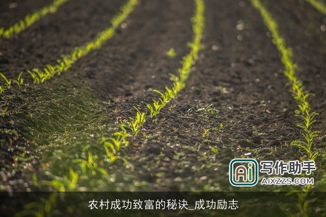 农村成功致富的秘诀_成功励志