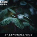 冬天下雨的经典问候语_问候短信