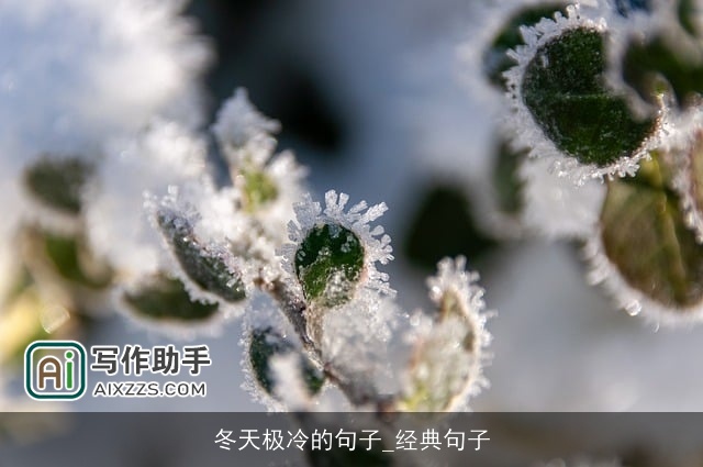 冬天极冷的句子_经典句子