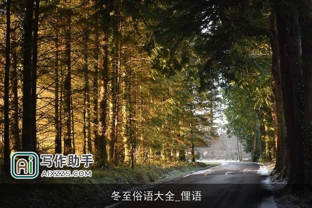 冬至俗语大全_俚语