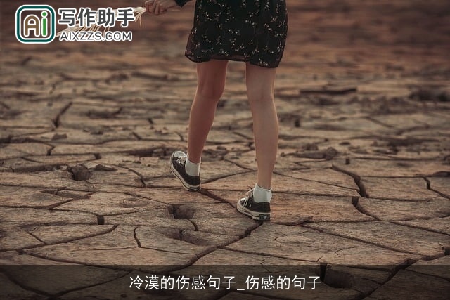 冷漠的伤感句子_伤感的句子