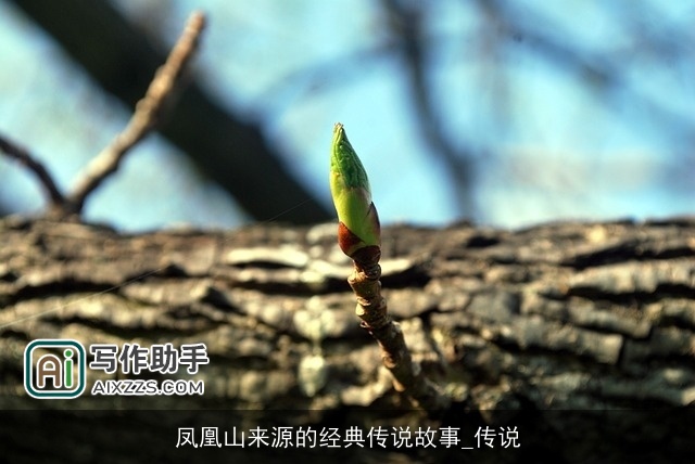 凤凰山来源的经典传说故事_传说