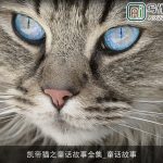 凯帝猫之童话故事全集_童话故事