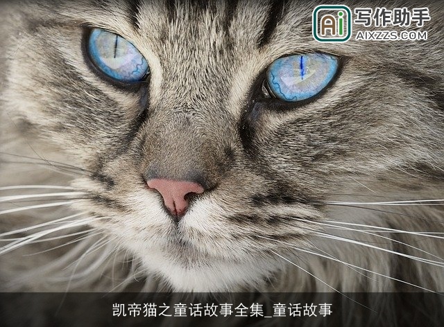 凯帝猫之童话故事全集_童话故事