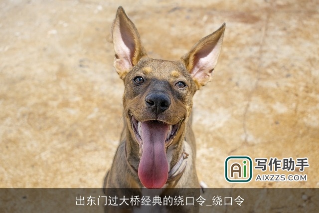 出东门过大桥经典的绕口令_绕口令