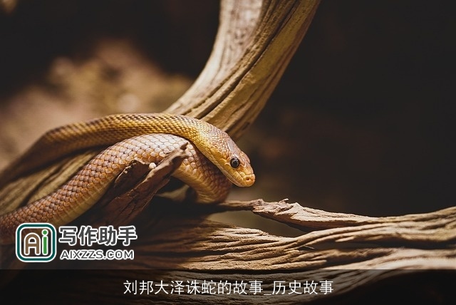 刘邦大泽诛蛇的故事_历史故事