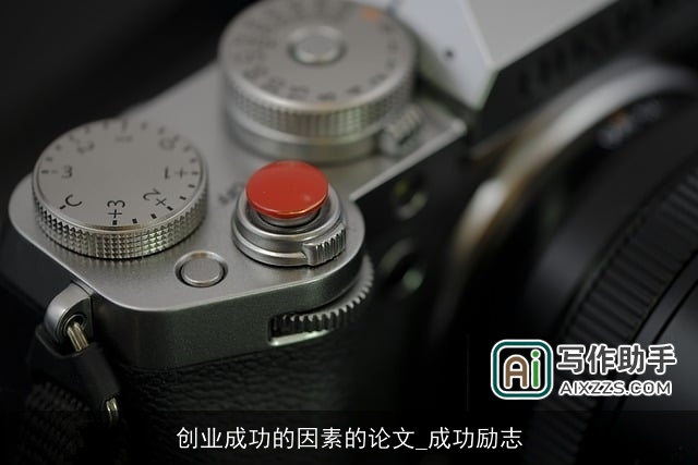 创业成功的因素的论文_成功励志