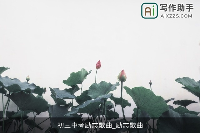 初三中考励志歌曲_励志歌曲