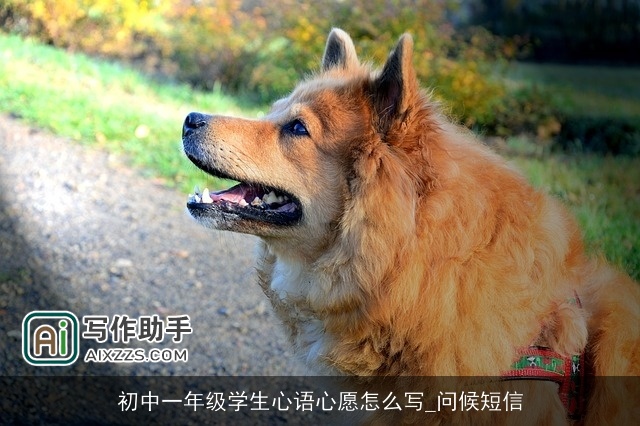 初中一年级学生心语心愿怎么写_问候短信