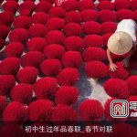 初中生过年品春联_春节对联