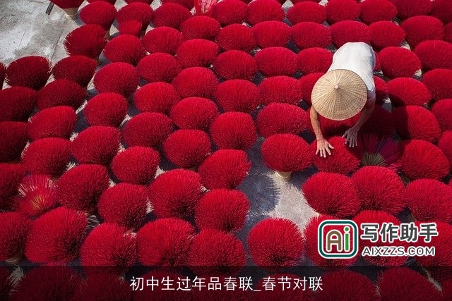 初中生过年品春联_春节对联
