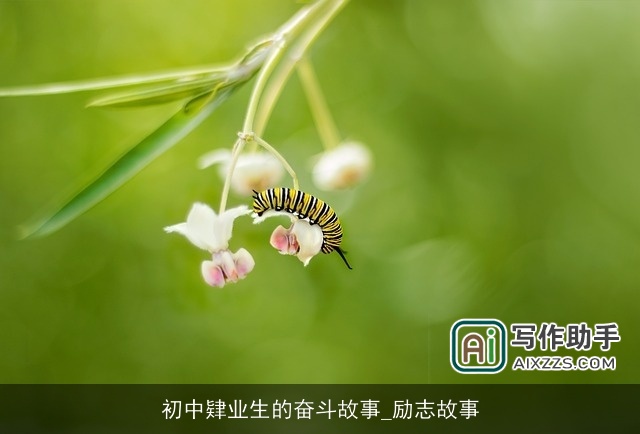 初中肄业生的奋斗故事_励志故事