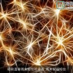 初秋温馨周末短信祝福语_周末祝福短信