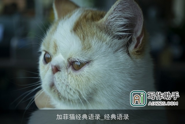 加菲猫经典语录_经典语录