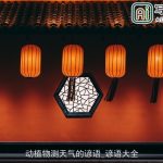 动植物测天气的谚语_谚语大全