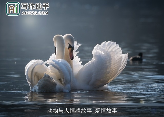 动物与人情感故事_爱情故事