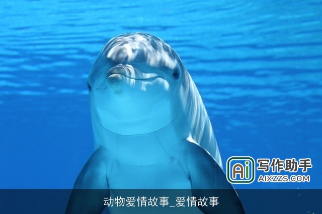 动物爱情故事_爱情故事