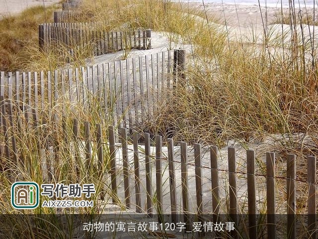 动物的寓言故事120字_爱情故事