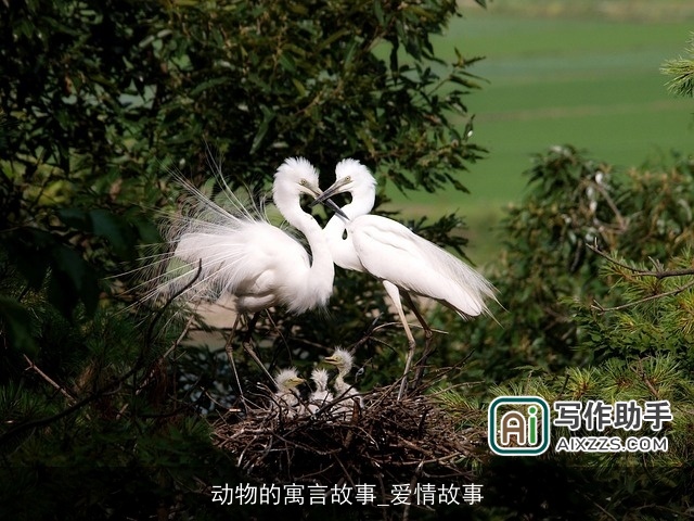 动物的寓言故事_爱情故事