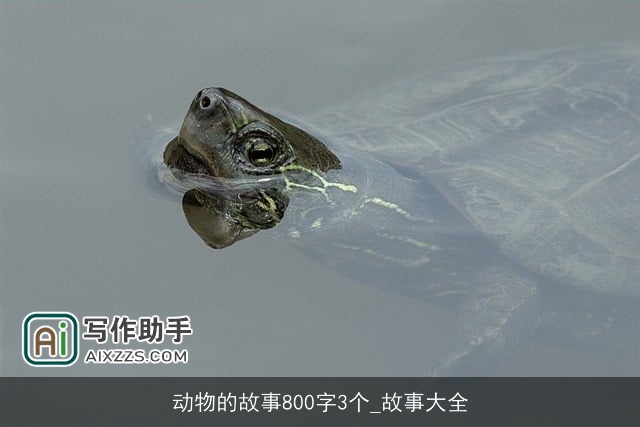 动物的故事800字3个_故事大全