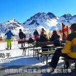 动物的自编的寓言故事_寓言故事