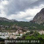 动物表现气象的谚语大全_谚语大全