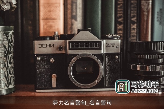 努力名言警句_名言警句