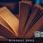 努力读书的名言_读书名言