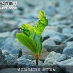 励志优美的短文_励志文章