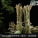 励志合唱歌曲胡彦斌《宣言》_励志歌曲