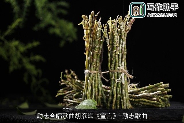 励志合唱歌曲胡彦斌《宣言》_励志歌曲