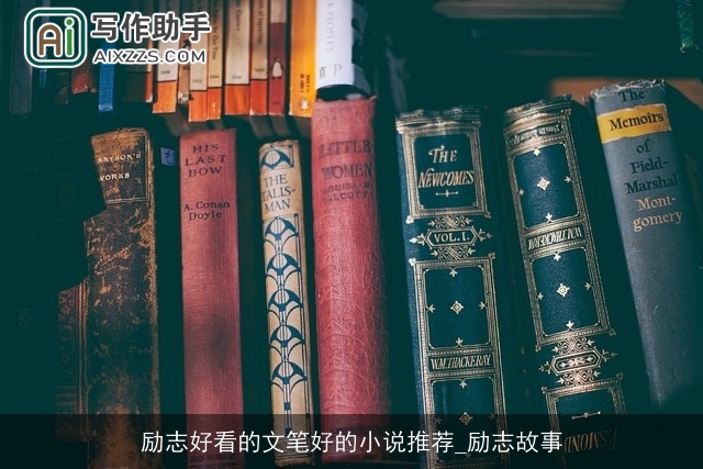 励志好看的文笔好的小说推荐_励志故事