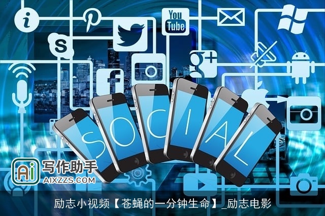 励志小视频【苍蝇的一分钟生命】_励志电影