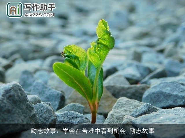 励志故事：学会在苦难中看到机会_励志故事