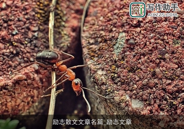 励志散文文章名篇_励志文章