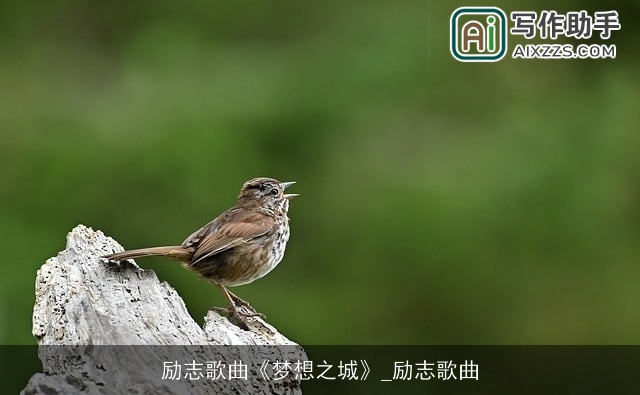 励志歌曲《梦想之城》_励志歌曲