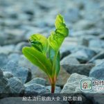 励志流行歌曲大全_励志歌曲