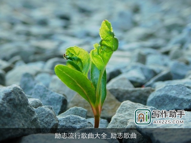 励志流行歌曲大全_励志歌曲