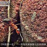 励志电影《叫我第一名》用阳光来驱散人生的阴霾_励志电影