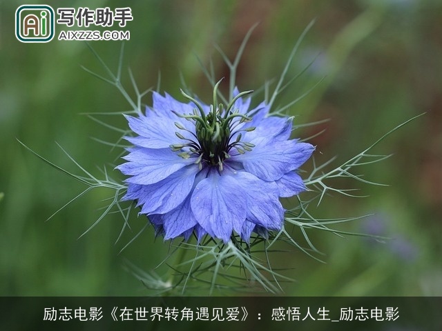 励志电影《在世界转角遇见爱》：感悟人生_励志电影