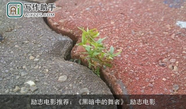 励志电影推荐：《黑暗中的舞者》_励志电影