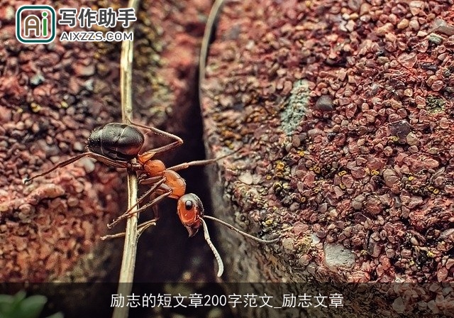 励志的短文章200字范文_励志文章