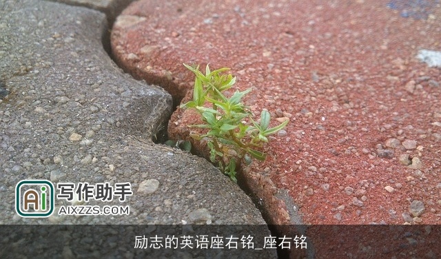 励志的英语座右铭_座右铭