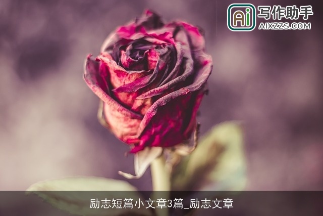 励志短篇小文章3篇_励志文章