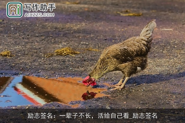 励志签名：一辈子不长，活给自己看_励志签名