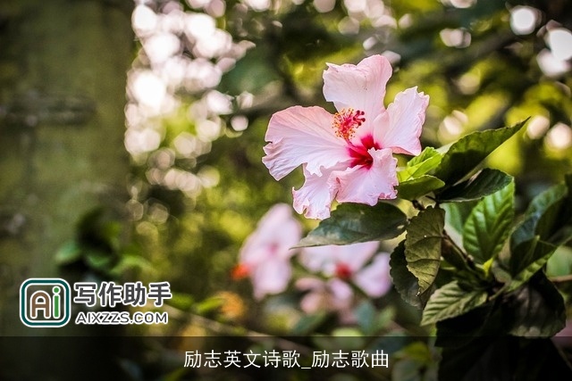 励志英文诗歌_励志歌曲