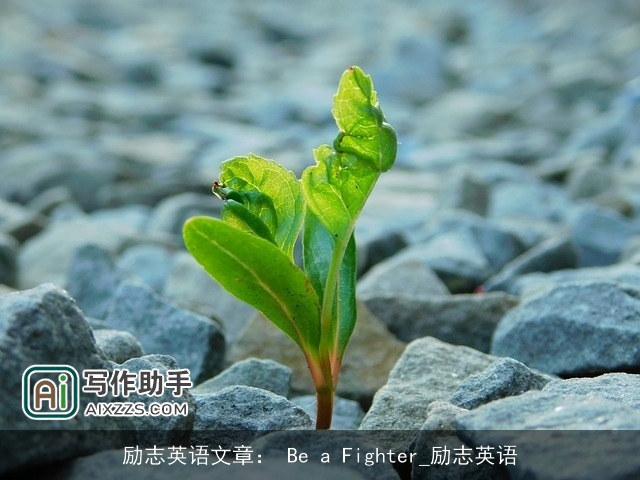 励志英语文章： Be a Fighter_励志英语