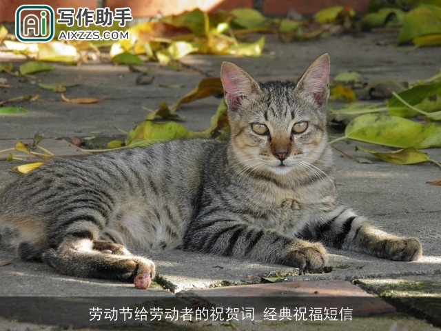 劳动节给劳动者的祝贺词_经典祝福短信