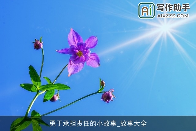 勇于承担责任的小故事_故事大全