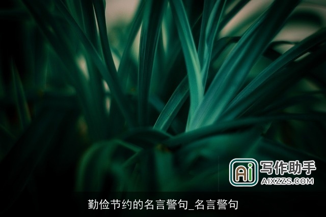 勤俭节约的名言警句_名言警句